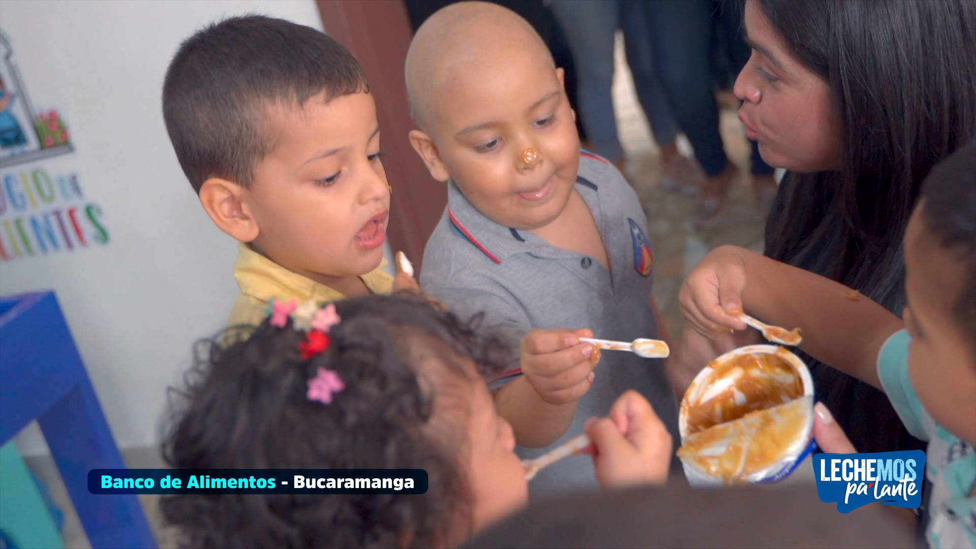 portada banco de alimentos